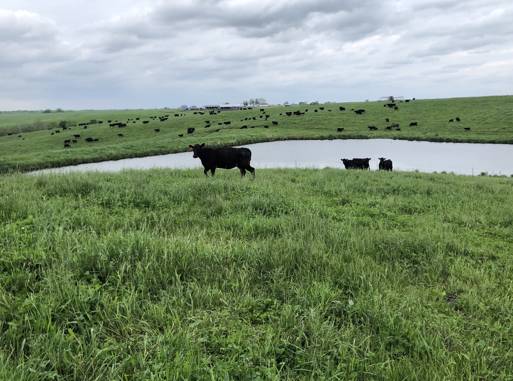 GM Farms