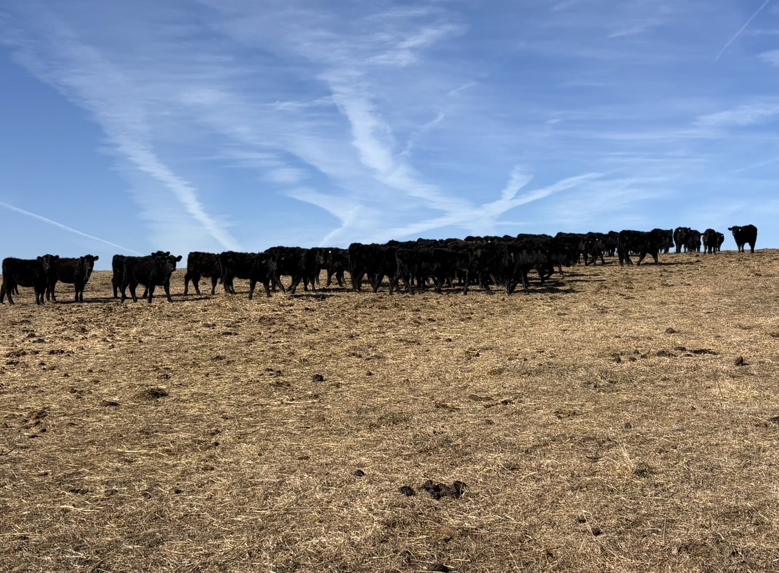 GM Farms